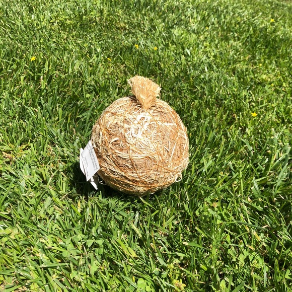 NWT Pier 1 Imports Decorative Natural Vase Filler - Picture 4 of 13